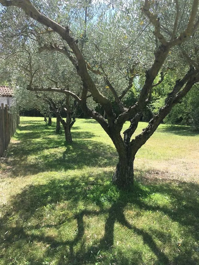 Les cabanes de Vallis Clausa Saumane-de-Vaucluse